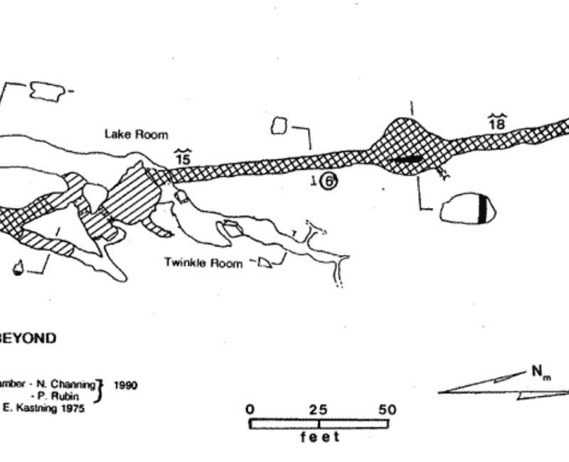 Pauley Avenue Map